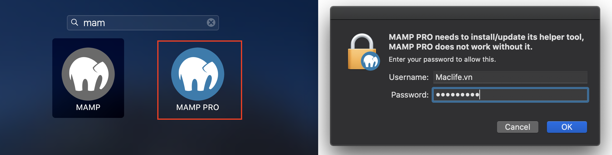 hd cai dat va su dung mamp pro 2