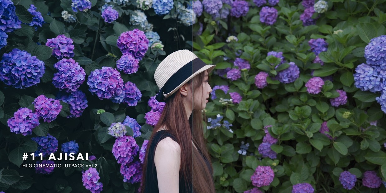 hlg-cinematic-lutpack-bundle-32-luts2 hlg cinematic lutpack bundle 32 luts2