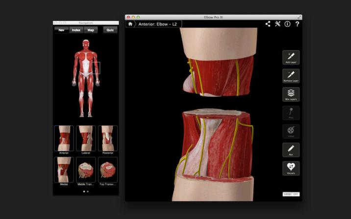 human anatomy atlas