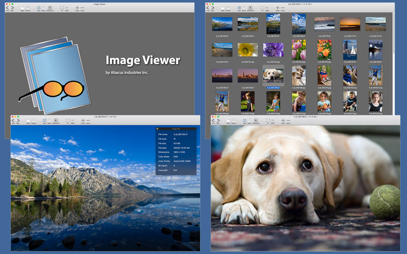 image-viewer image viewer