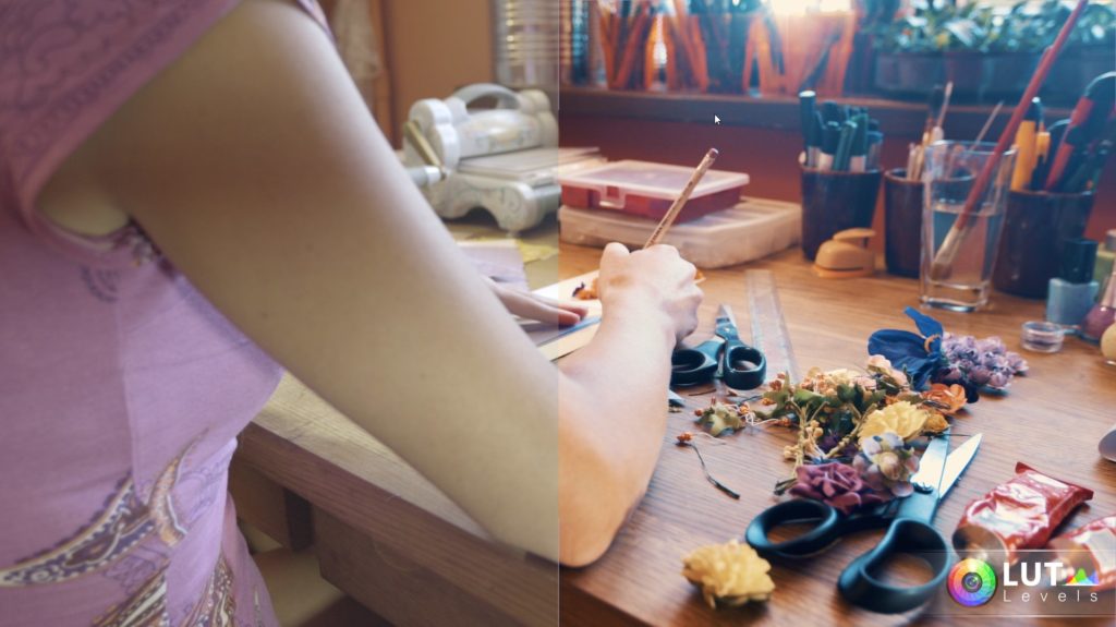 levels-lut-video-luts-1 levels lut video luts 1