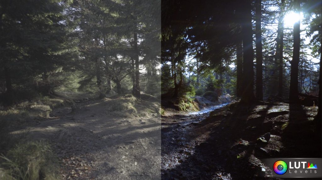 levels-lut-video-luts-10 levels lut video luts 10