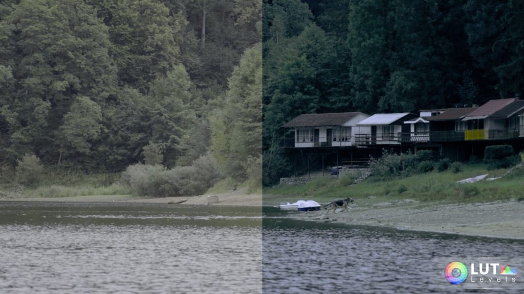 levels-lut-video-luts-12 levels lut video luts 12