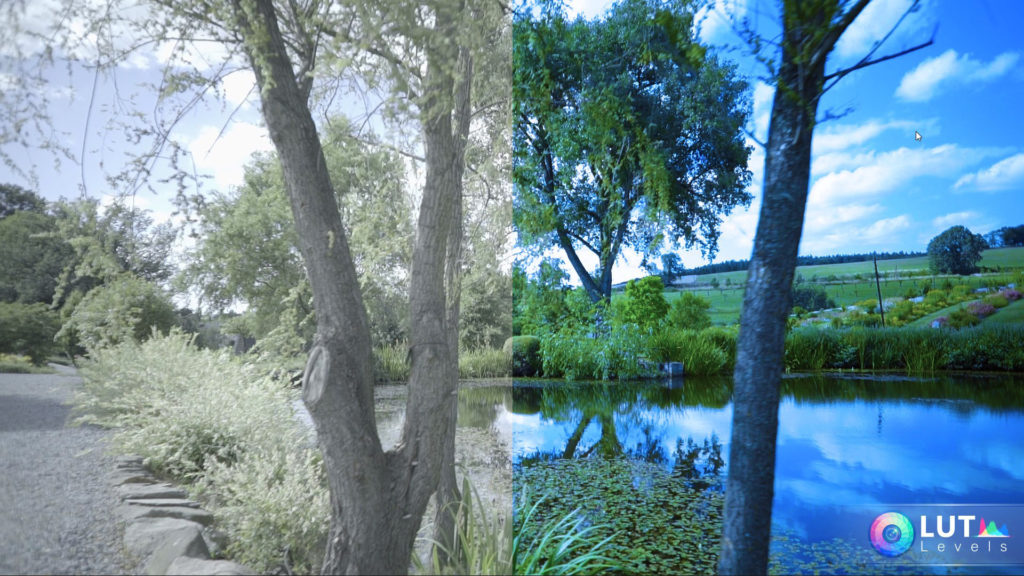 levels-lut-video-luts-2 levels lut video luts 2