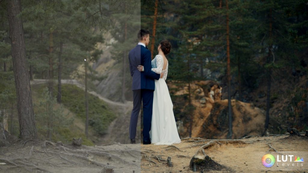levels-lut-video-luts-3 levels lut video luts 3