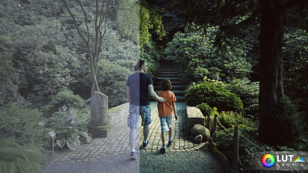 levels-lut-video-luts-4 levels lut video luts 4
