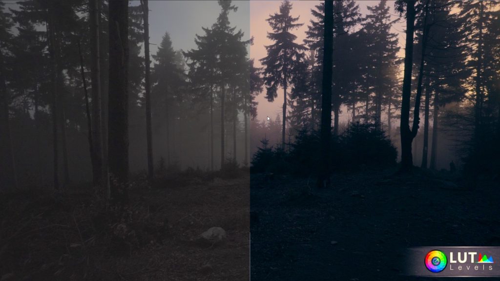 levels-lut-video-luts-7 levels lut video luts 7