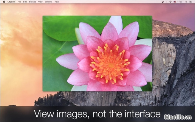 lilyview-cho-mac-3 lilyview cho mac 3