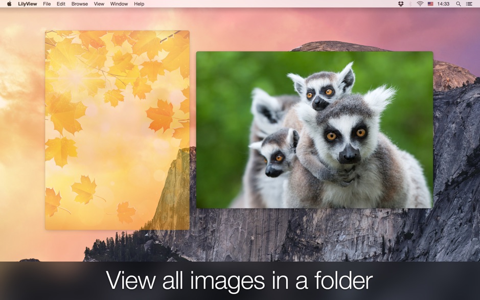 lilyview-mac lilyview mac