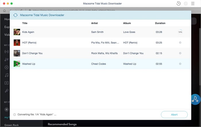 macsome tidal downloader3