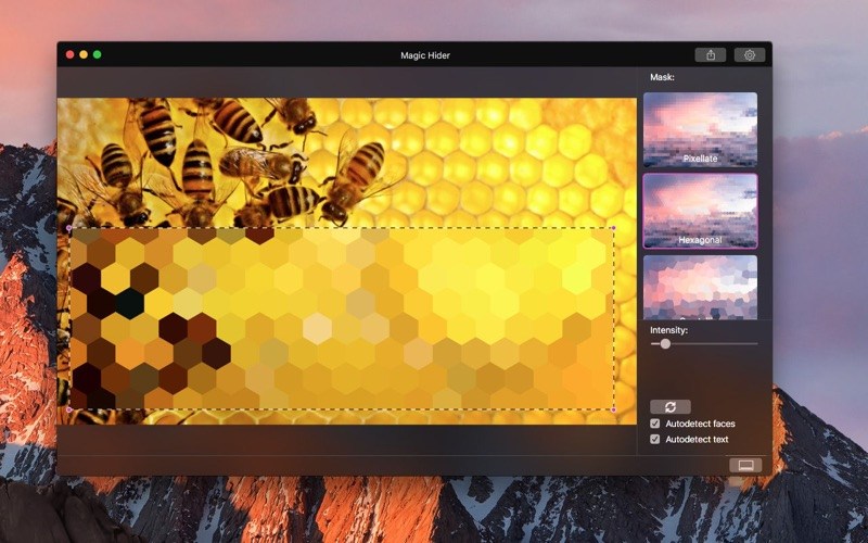 magic-hider-4 magic hider 4