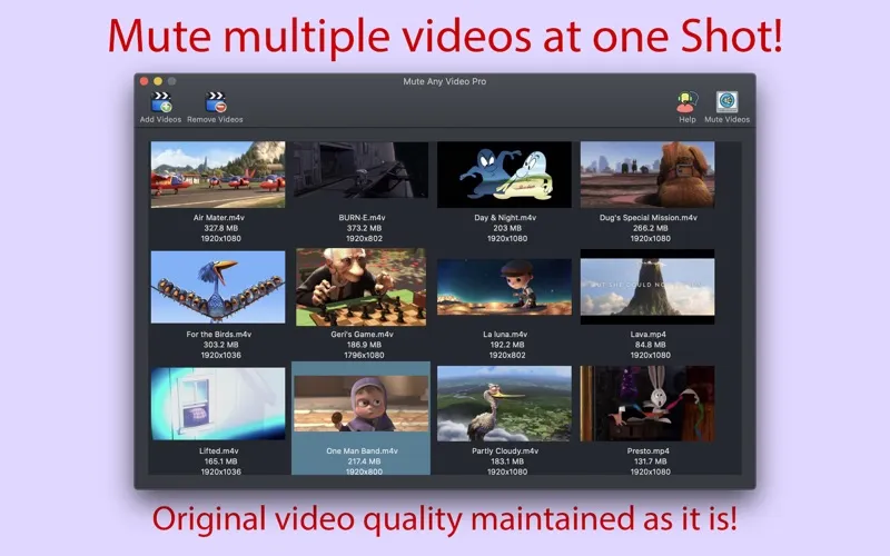 mute-any-video-pro1b mute any video pro1b