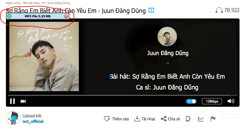 net-download-manager_audio net download manager audio