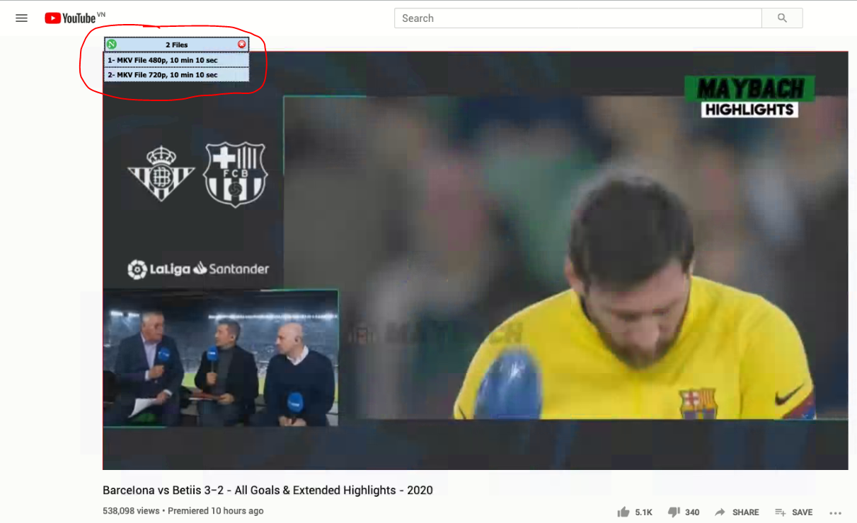 net-download-manager_video net download manager video