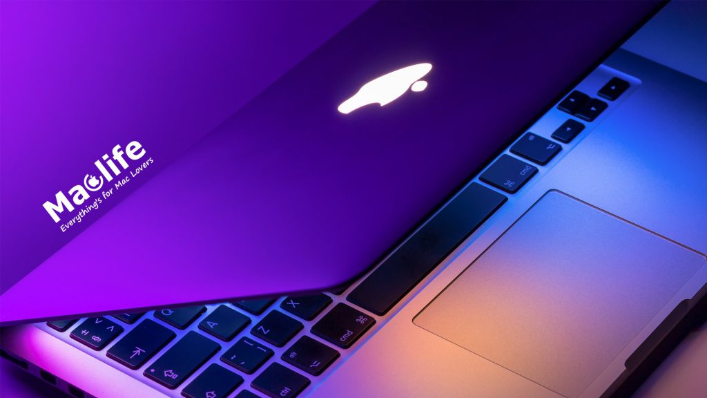 nguyen hoang tuan dung 1024x576 1