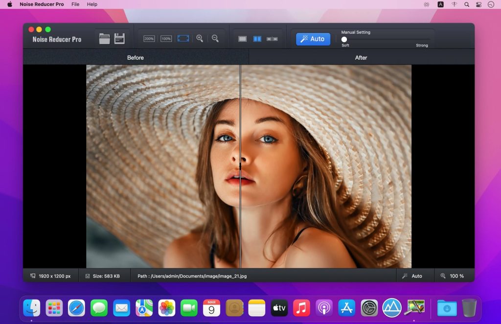 noise-reducer-pro_03-1024x662-1 noise reducer pro 03 1024x662 1