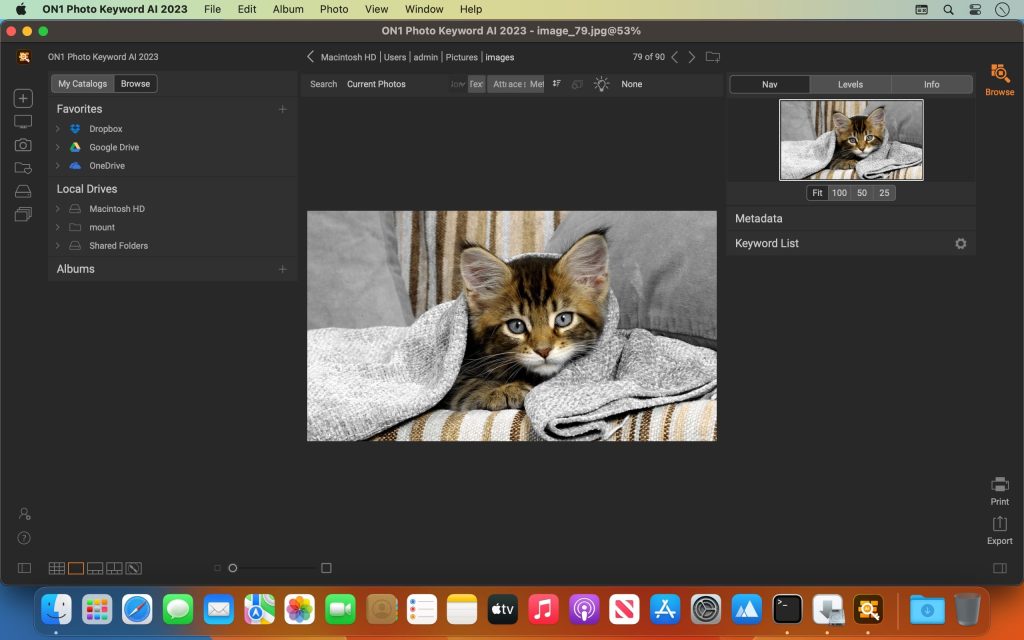 on1-photo-keyword-ai_02-1024x640-1 on1 photo keyword ai 02 1024x640 1