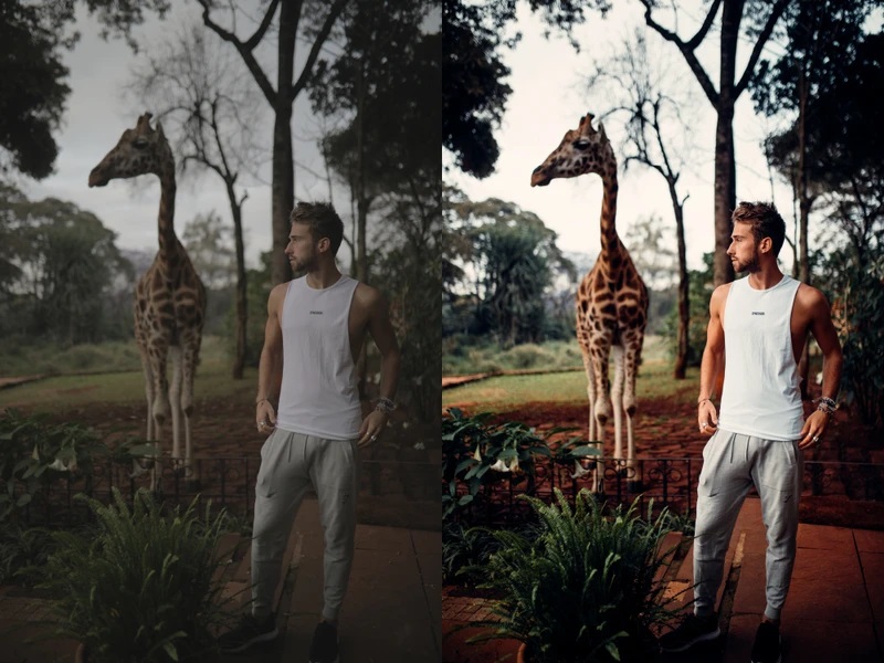 original sam kolder presets master 11