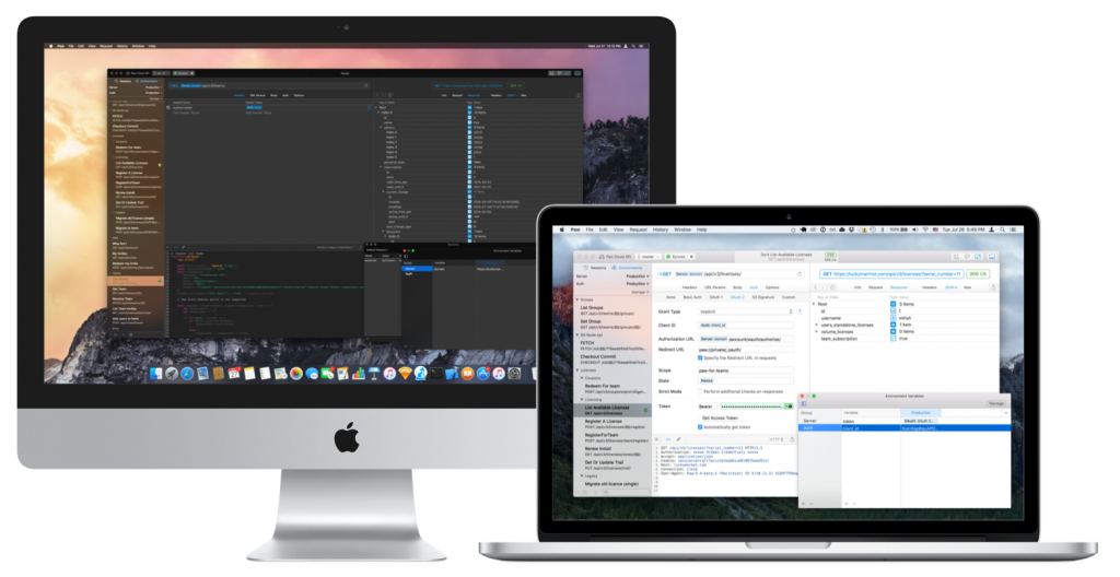 paw3-1024x528-1 paw3 1024x528 1