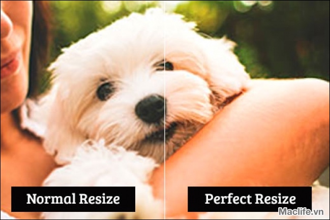 Perfect Resize 7 MacOs – Plugin resize ảnh 1 perfect resize 7