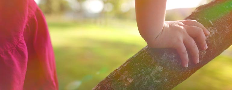 pixel film studios proflare description 3