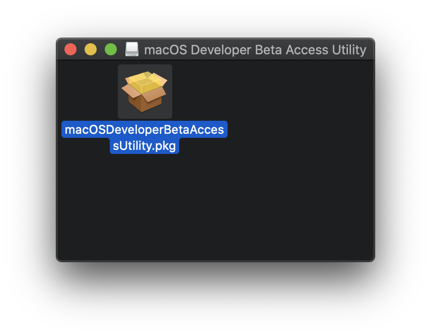 profile-macos-11-big-sur profile macos 11 big sur