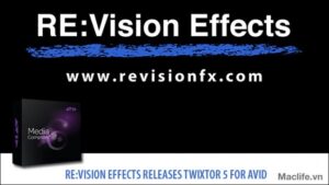 re vision twixtor