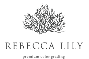 rebeccalily e28093 preset lightroom