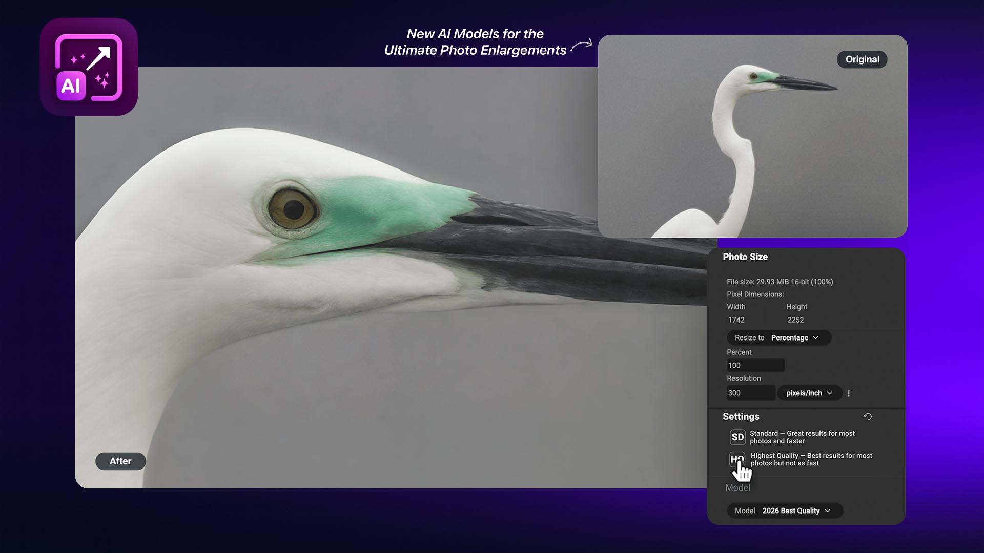 resize ai 2026 before after main