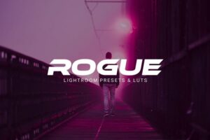 rogue e28093 lightroom presets and luts 830x554 1