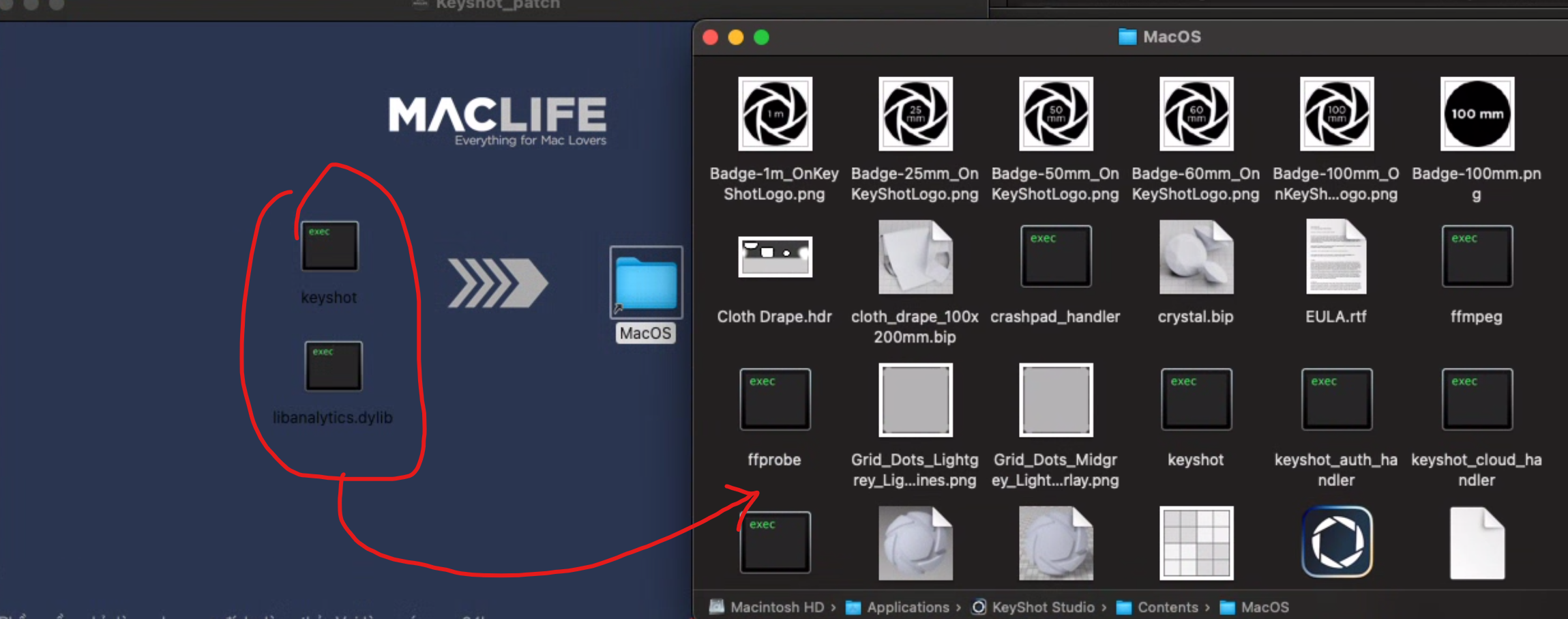 screenshot 2025 06 30 140657 2