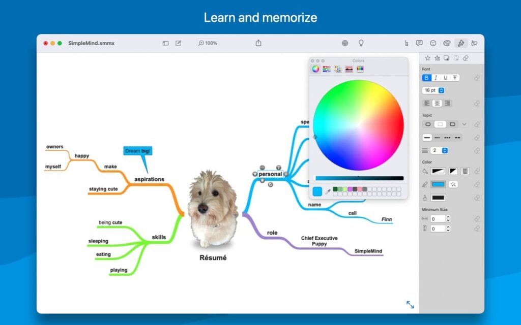 simplemind_02-1024x640-1 simplemind 02 1024x640 1