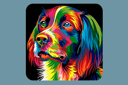 splash n recolor mac