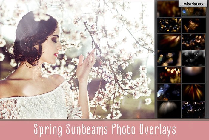 spring sunbeams cover