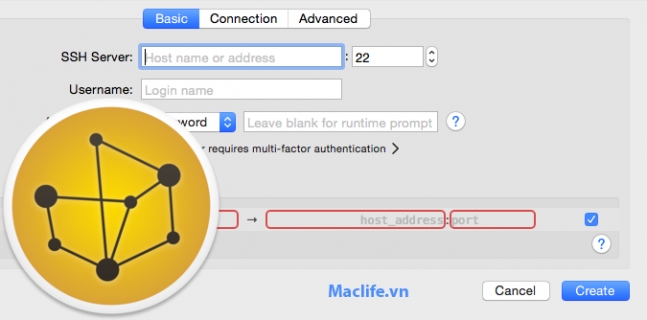 SSH Tunnel macOS – Công cụ kết nối SSH trên Mac 1 ssh tunnel