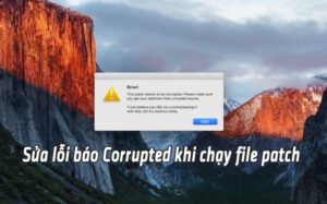 succ9bcc89a locc82cc83i khocc82ng chacca3y ducc9bocc9bcca3c file patch corrupted