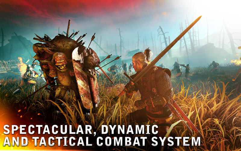 the-witcher-2-assassins-of-kings-1 the witcher 2 assassins of kings 1