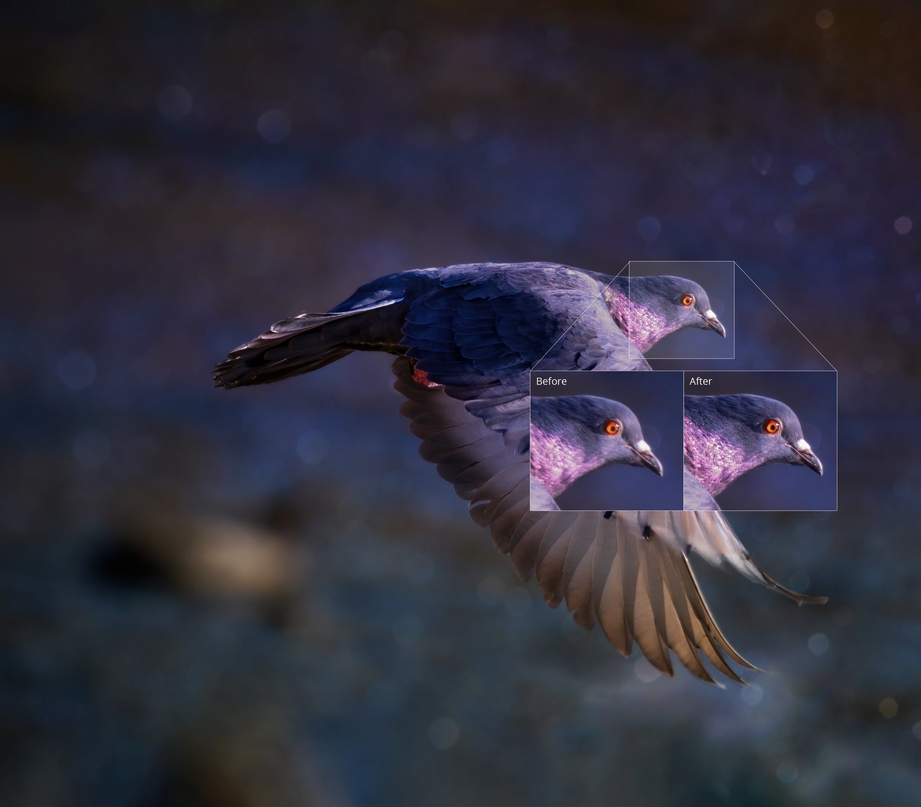 topaz-sharpen-ai-mac topaz sharpen ai mac