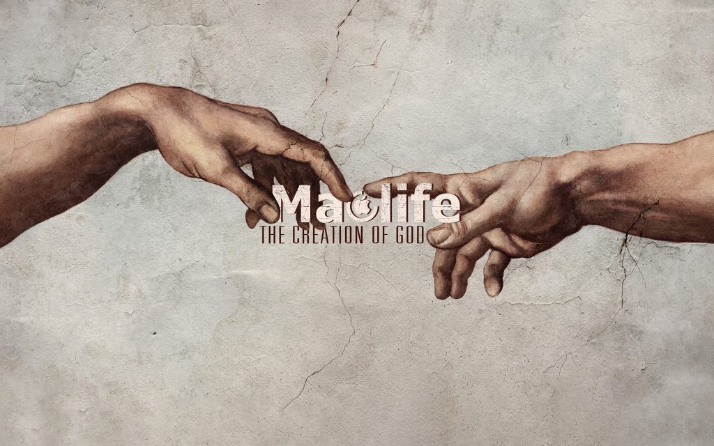 tran van duong 2 1024x640 1