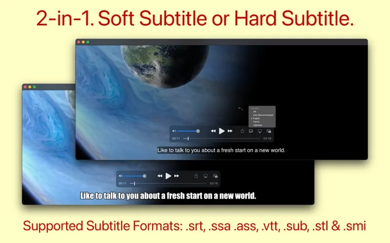 video subtitler1