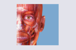 visible body muscle premium 7 icon