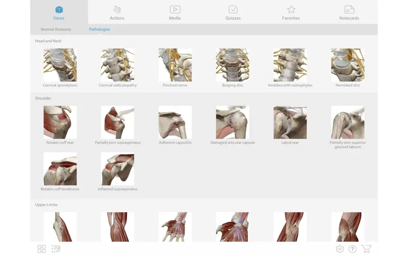 visible-body-muscle-premium visible body muscle premium