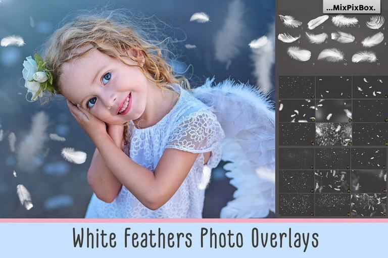 white feathers first image 768x511 1
